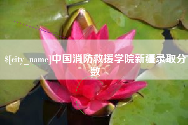 湖州中国消防救援学院新疆录取分数