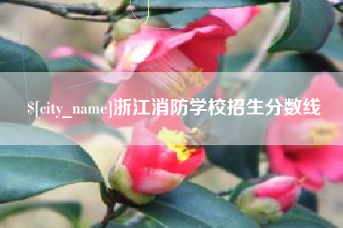 湖州浙江消防学校招生分数线
