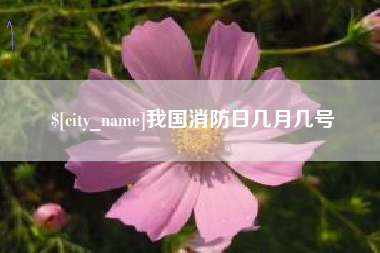 湖州我国消防日几月几号