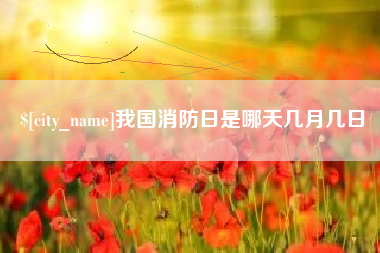 湖州我国消防日是哪天几月几日