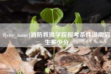 湖州消防救援学院报考条件湖南招生多少分