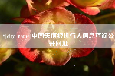 湖州中国失信被执行人信息查询公开网址