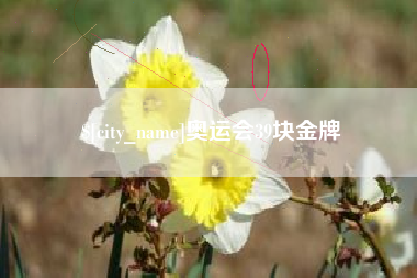 湖州奥运会39块金牌