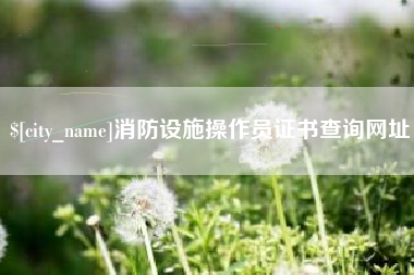 湖州消防设施操作员证书查询网址