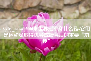 湖州5000米世界冠军穿什么鞋-它们是运动员取得优异成绩背后的重要“功臣”