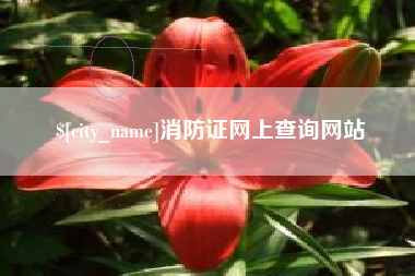 湖州消防证网上查询网站
