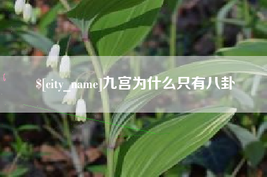 湖州九宫为什么只有八卦