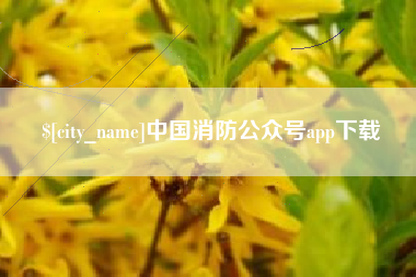 湖州中国消防公众号app下载