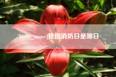 湖州我国消防日是哪日