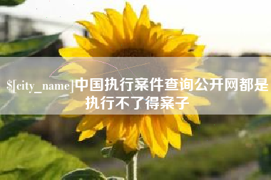 湖州中国执行案件查询公开网都是执行不了得案子