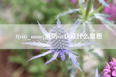 湖州消防ccc认证什么意思