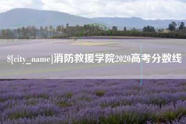 湖州消防救援学院2020高考分数线