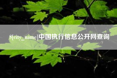 湖州中国执行信息公开网查询