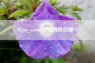 湖州全国消防日哪一