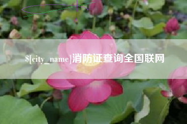 湖州消防证查询全国联网