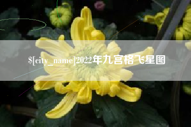 湖州2022年九宫格飞星图