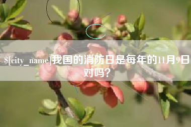 湖州我国的消防日是每年的11月9日对吗？