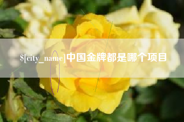 湖州中国金牌都是哪个项目