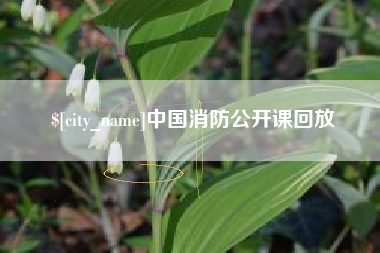 湖州中国消防公开课回放