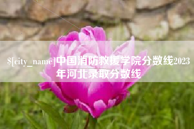 湖州中国消防救援学院分数线2023年河北录取分数线