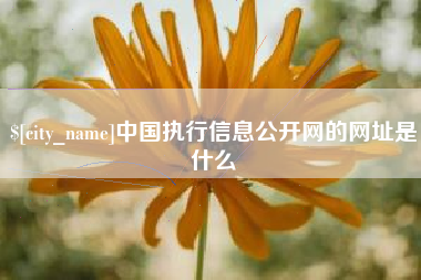 湖州中国执行信息公开网的网址是什么