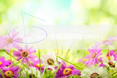 湖州中国消防网1190119