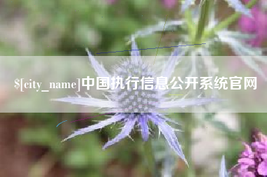 湖州中国执行信息公开系统官网