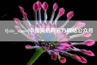湖州中国消防网官方网站公众号