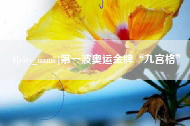 湖州第一波奥运金牌“九宫格”