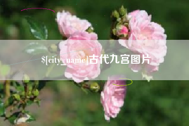湖州古代九宫图片