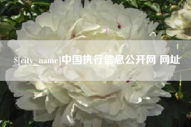湖州中国执行信息公开网 网址