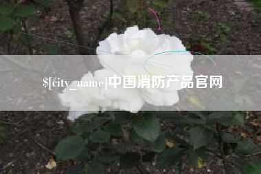 湖州中国消防产品官网