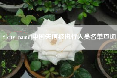 湖州中国失信被执行人员名单查询