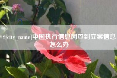 湖州中国执行信息网查到立案信息怎么办