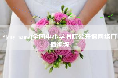湖州全国中小学消防公开课网络直播视频