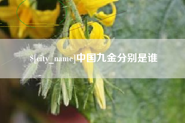 湖州中国九金分别是谁