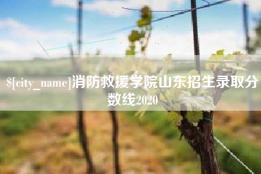 湖州消防救援学院山东招生录取分数线2020