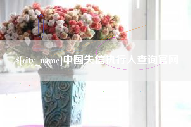 湖州中国失信执行人查询官网