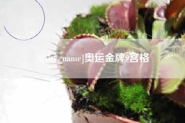 湖州奥运金牌9宫格