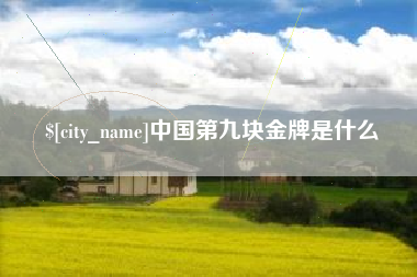 湖州中国第九块金牌是什么