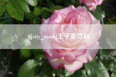 湖州王子豪百科