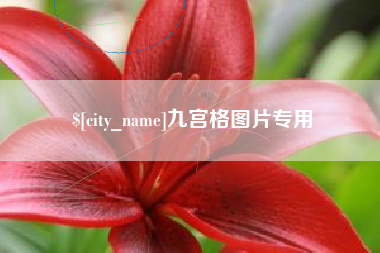 湖州九宫格图片专用