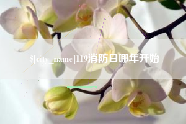 湖州119消防日哪年开始