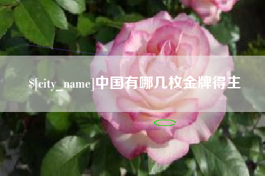 湖州中国有哪几枚金牌得主