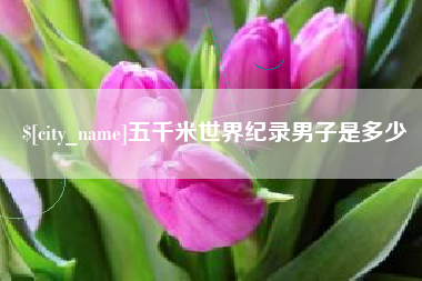 湖州五千米世界纪录男子是多少