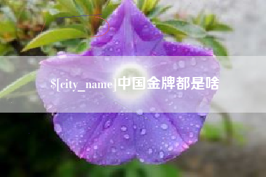 湖州中国金牌都是啥