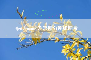 湖州九宫图分割线图片