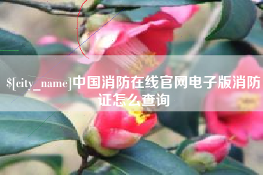湖州中国消防在线官网电子版消防证怎么查询
