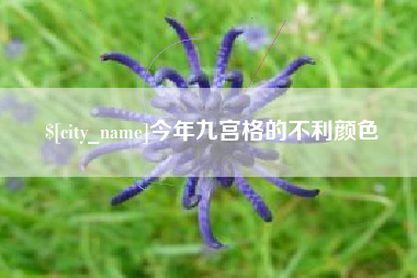 湖州今年九宫格的不利颜色