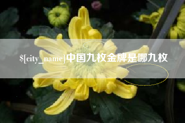 湖州中国九枚金牌是哪九枚